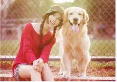 如何更好的和汪星人相處？